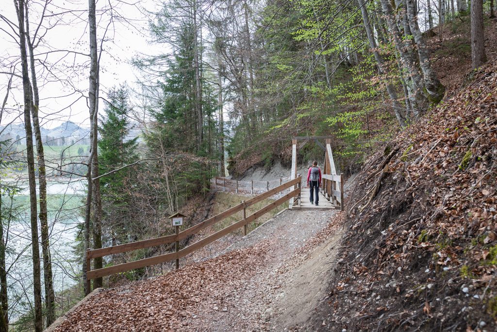 Rando aux Gorges de la Jogne et Tour du Lac de Montsalvens