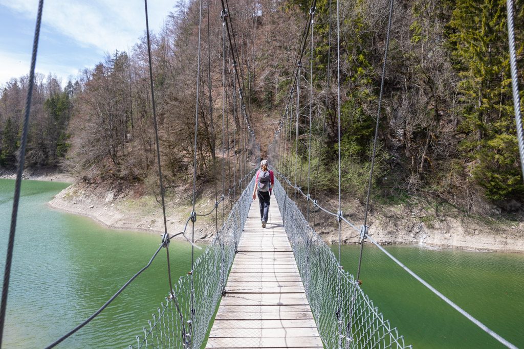 Les gorges de La Jogne, Dans les Gorges de la Jogne, en Gru…