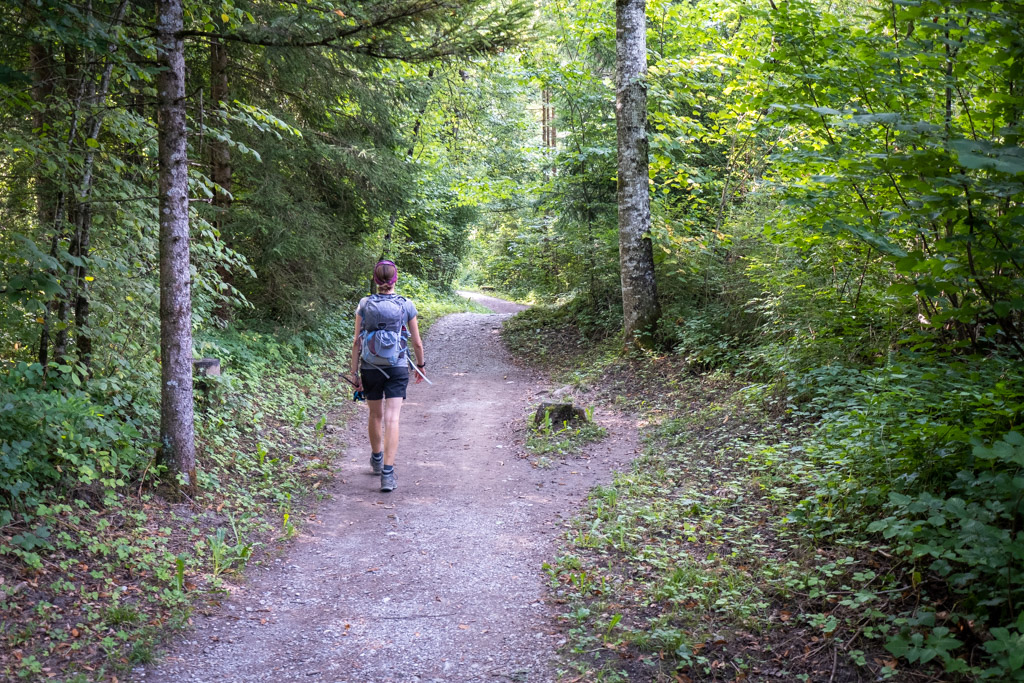 Le long de la Sarine à Broc