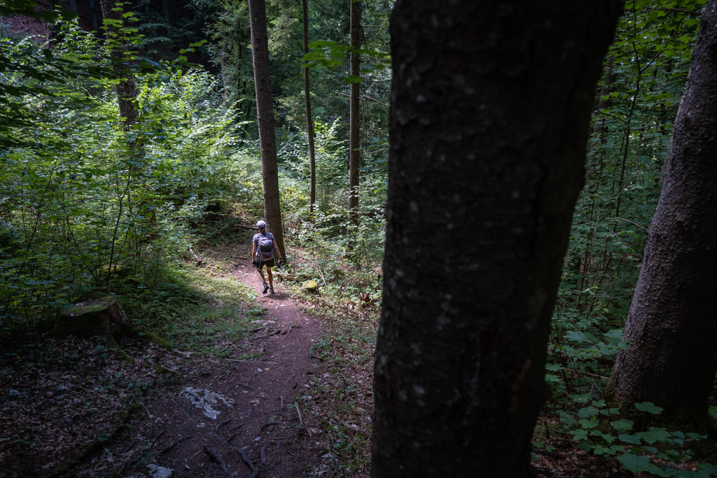 Sentier en forêt