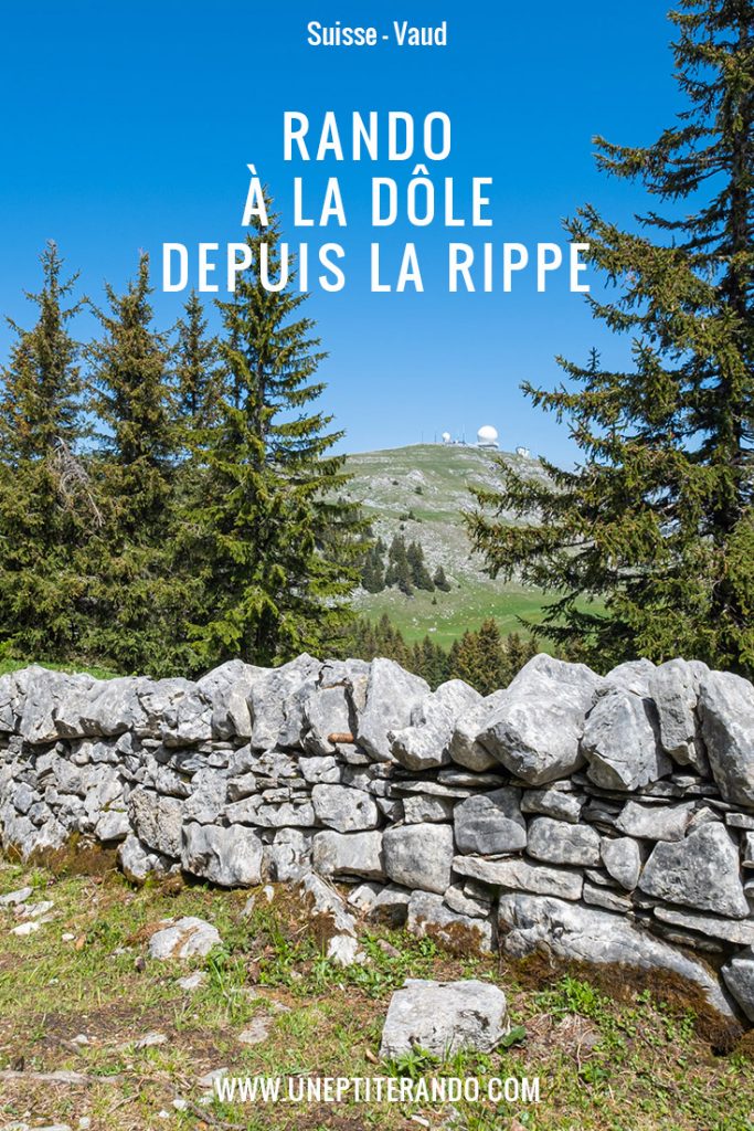 Pinterest - La Dôle depuis Vendôme (La Rippe)