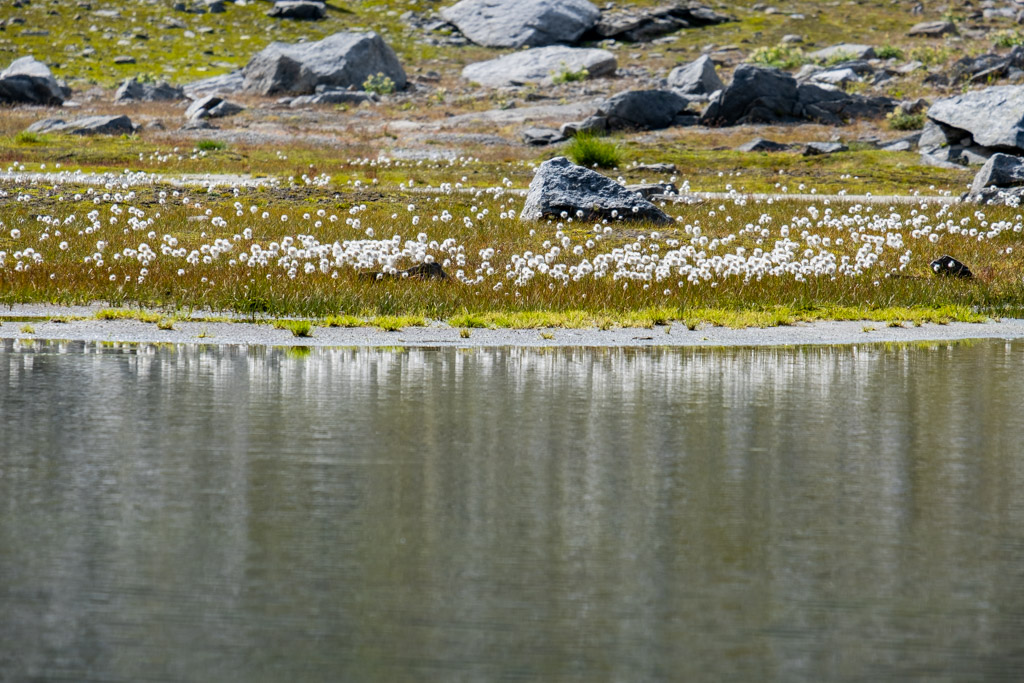 Ambiance lac alpin