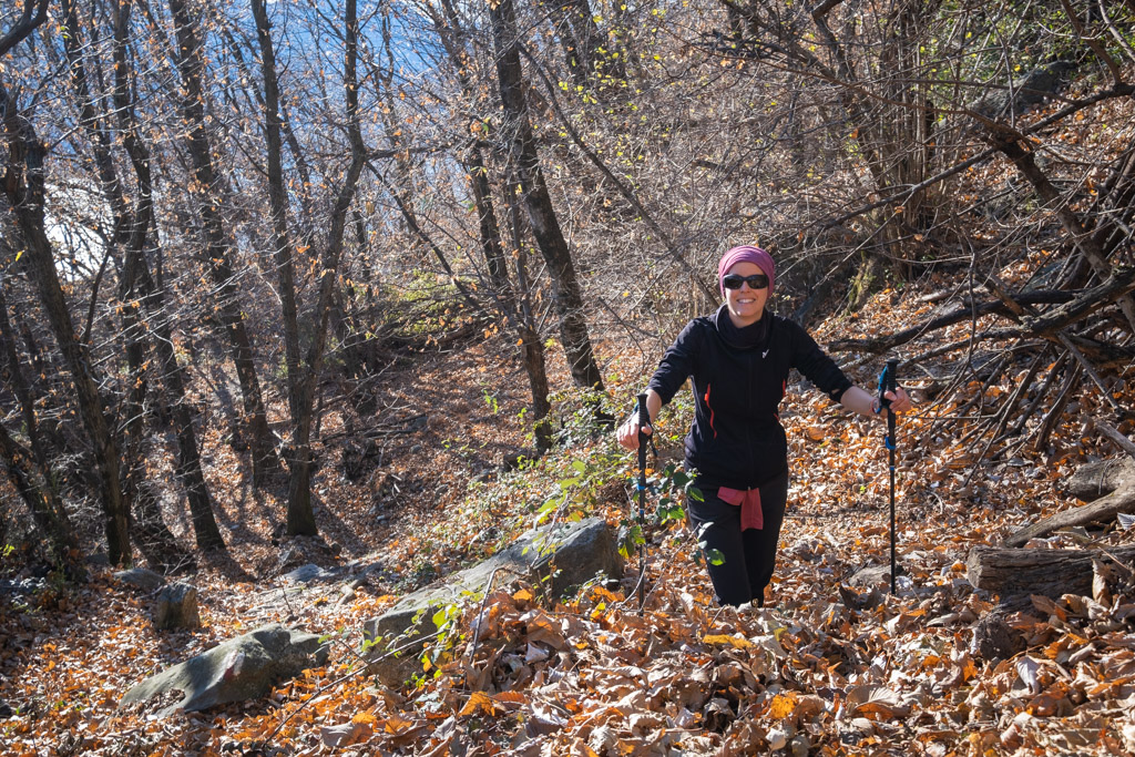 Montagne de feuilles mortes sur le sentier