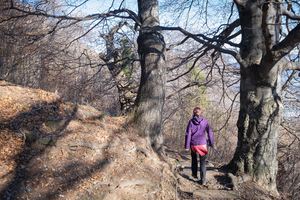 Dans la descente du Corona dei Pinci