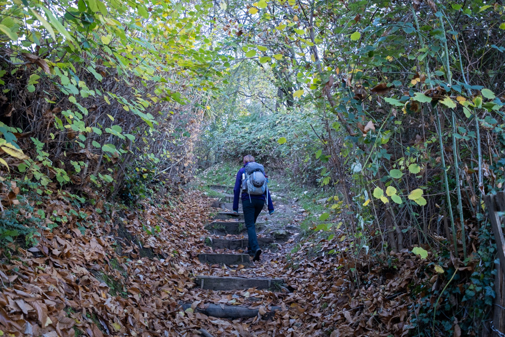 Marches lors de la montée au San Salvatore