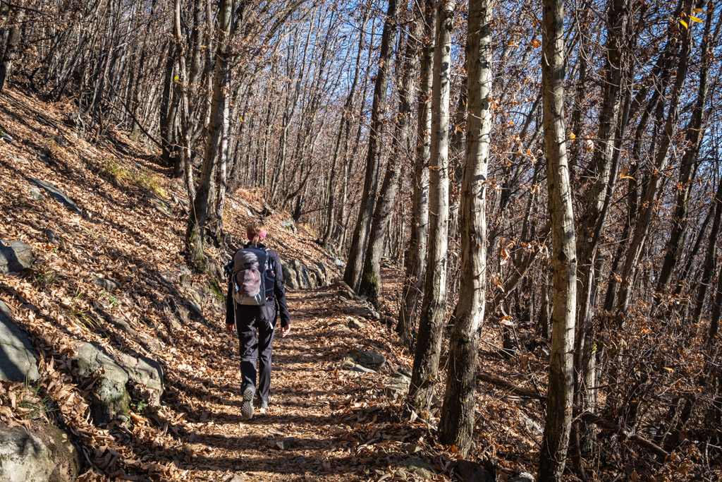 Légère descente avant de rejoindre le pont tibétain