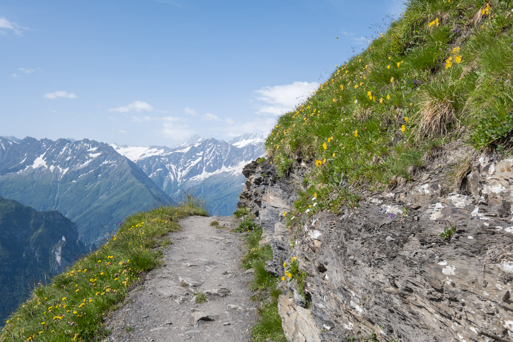 Via Alpina - En direction du Tannensee (Obwald, Suisse)